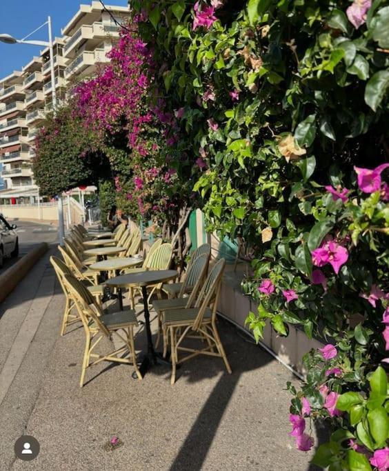 Apartment Climatise Au Mourillon *